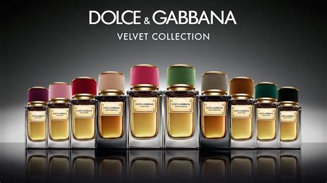 d&g velvet collection|d meaning in english.